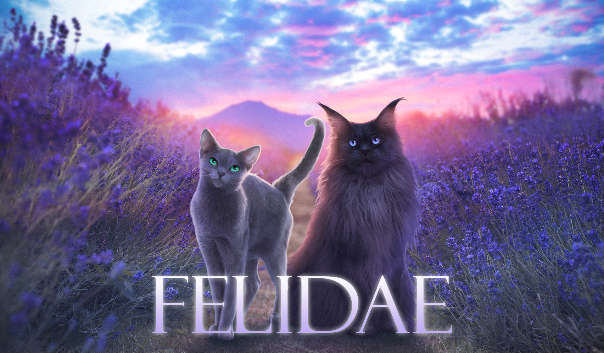 Felidae